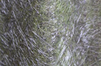 Cressbrook fibreglass roof work